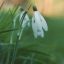 What's on at Colzium House & Museum