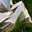 Adult Book Quiz