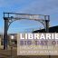 Libraries Big Day Out