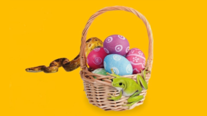 image shows an Easter basket filled with colourful eggs, a green frog, and a snake slithering nearby