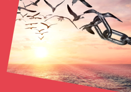 Our Freedom: Then & Now