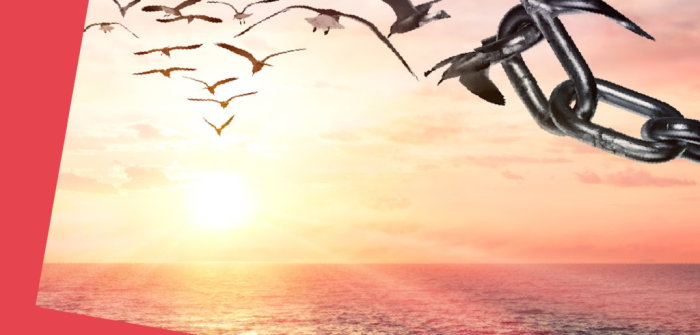 Our Freedom: Then & Now