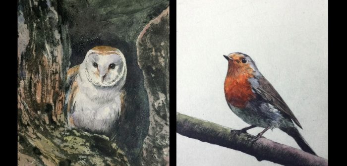 Print with Greg! – dry-point and hand-colouring   – 31 Jan 26 – Bellshill CC