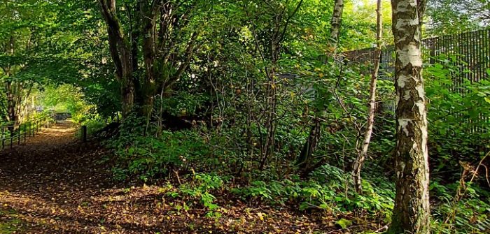 Den Building at Summerlee